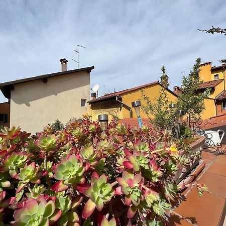 Margherita Apartment W/ Terrace Bologna Eksteriør billede